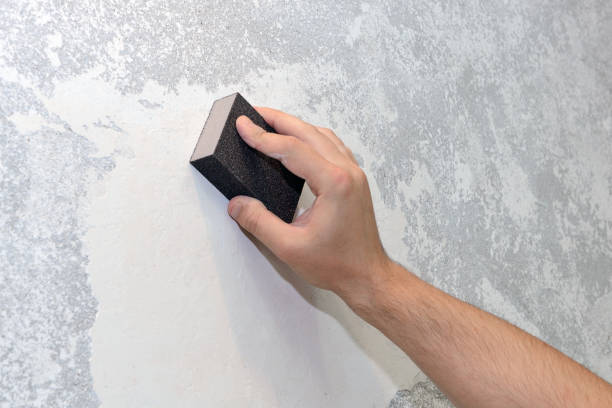 Reliable Lynnwood, WA Mold Removal Solutions