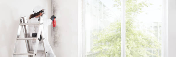 Best Mold-Related Health Consultation  in Lynnwood, WA